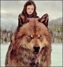 Pour tuer qui les Volturi se dplaceront-ils lors du dernier livre de la saga ?