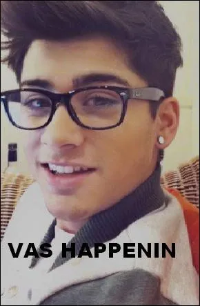 Quelle a t l'cole de Zayn Malik ?