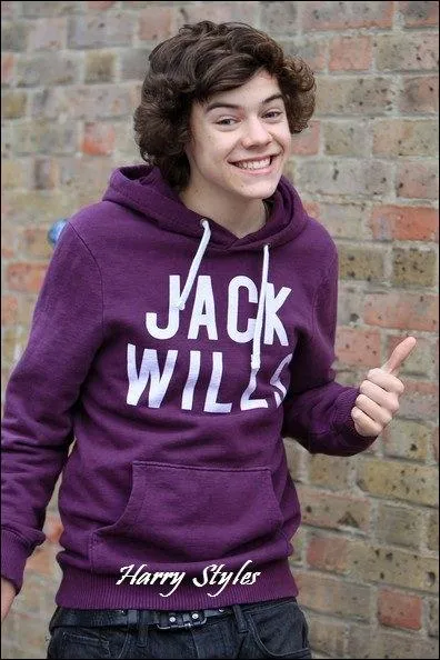 Combien a de tatouages Harry Styles ?