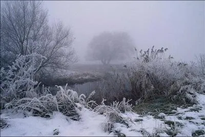 Complétez : « Le ciel (... ) noir, la terre (... ) blanche ;