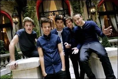 Quelle chanson n'est pas des One Direction ?  