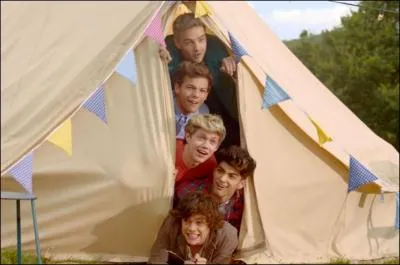 Quelle chanson n'est pas des One Direction ?