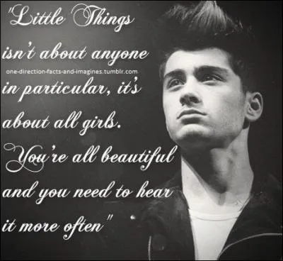 Qui surnomme-t-on Daddy Directioner ?