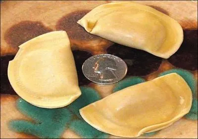 Ils ont pour nom  chapeau de cur . Leur forme peut tre rectangulaire ou semi-circulaire. Farcissez-les et accompagnez-les d'une sauce tomate lgre.