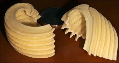 Ne dirait-on pas une sculpture ? Quel nom lui donne-t-on ?