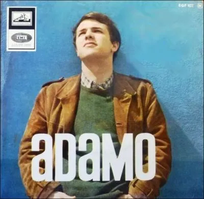 Que demandait  une jeune fille, Salvatore Adamo en 1965 dans une de ses chansons ?