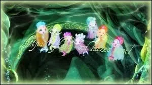 Comment s'appellent ces espces magiques ?