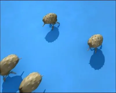 Quel est le monstre de X. A. N. A ?