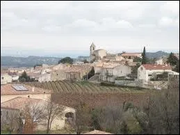 A Rochefort-du-Gard, les habitants portent le gentil ...