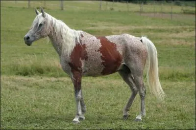 Cette photo est-elle truque ?