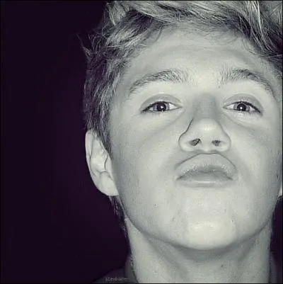 De quelle origine est Niall ?