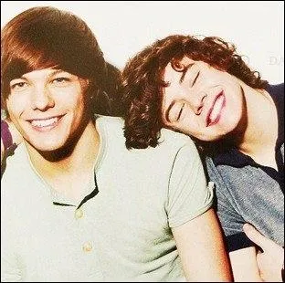 Comment s'appellent les fans qui croient en Larry ?