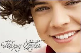 Qui est le meilleur ami de Harry Styles ?