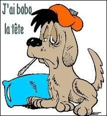 Le premier janvier est fri, et les lendemains de fte tant souvent un peu durs, o nous trouvons-nous parfois ?