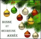 Le premier janvier est donc l'occasion de dire  tous :