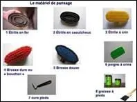 Quand effectue-t-on le pansage ?