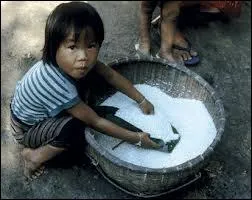 Jaune, blanc, rouge, cargo, violet ou gluant je suis . .