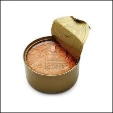 Le mot commence par : Ma...