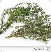 Le mot commence par : Ma ...