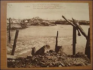 En 1914, des units allemandes voulaient franchir un fleuve. Une inondation volontairement dclenche par les militaires stoppa dfinitivement leur progression. De quel fleuve s'agit-il ?