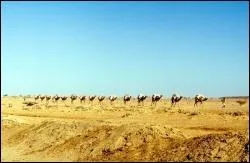 Comment s'appellent les habitants de Djibouti ?