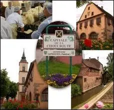 Promenons-nous dans les rues du village de Krautergersheim, o la population rpond au nom de ...