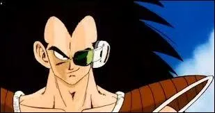 Qui est le frre de Sangoku ?