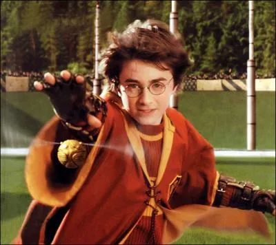 Comment s'appelle ce poste de Quidditch ?