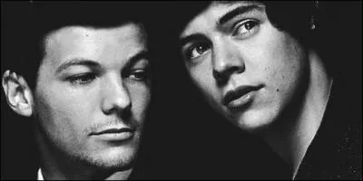 La bromance Louis + Harry s'appelle ?