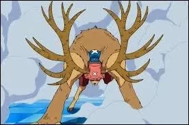 De quelle forme s'agit-il ?