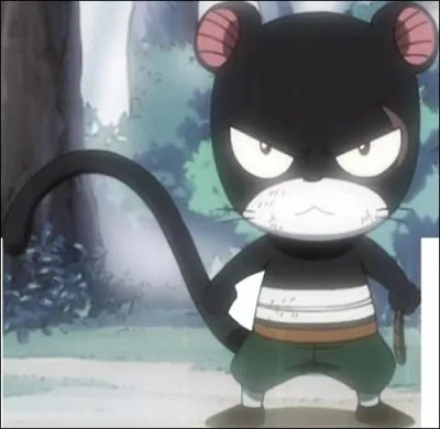 Comment s'appelle Exceed de Gajeel ?