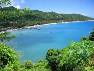 La grenade petit engin explosif doit son nom...