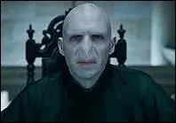 Qui joue Voldemort ?
