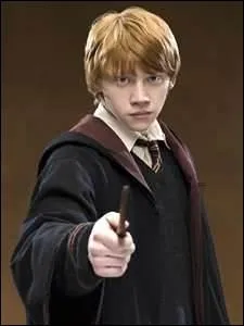 Qui joue Ronald Weasley ?