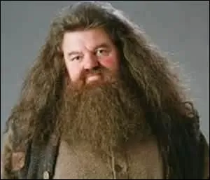Qui joue Hagrid ?