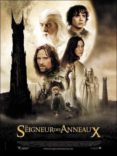 Une suite sombre, spectaculaire et ferique du   Seigneur des Anneaux   ralise par Peter Jackson en 2002 avec Elijah Wood, Sean Astin, Viggo Mortensen, Christopher Lee ... .