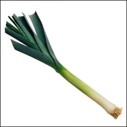 Comment appelle-t-on ce lgume ?