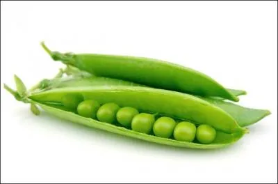Comment appelle-t-on ces lgumes ?