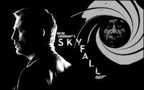 Qui chante la chanson de gnrique de James bond  Skyfall 