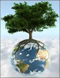 Compltez la chanson  Aux arbres citoyens  de Yannick Noah :  Puisqu'il faut changer les choses. Aux arbres citoyens ! Il est grand temps qu'on propose...  .