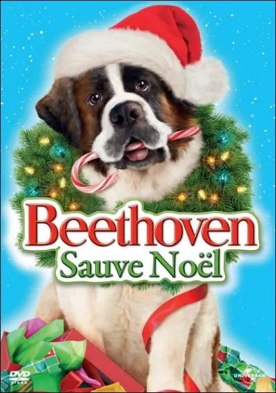 Dans  Beethoven sauve Nol , quelle est la race de ce hros canin ?