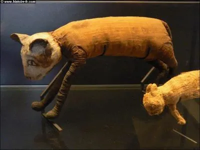 Dans l'Egypte antique :