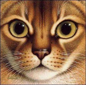 Qui prenait son petit déjeuner dans la même assiette que son chat "Minou" et fut la maîtresse d'Alfred de Musset ?