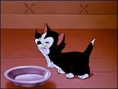 Dans quel dessin animé rencontre-t-on ce petit chat ?
