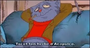 Quel est ce chat de Crumb ?