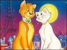 Quel est ce couple de chats ?