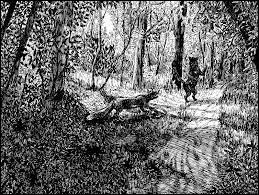 Dans le roman de Renart, quel est le nom du chat ?