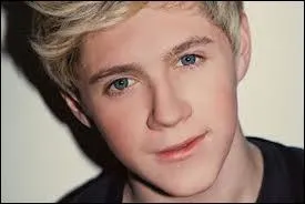 Qu'est-ce que Niall Horan prfre ?