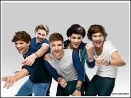 O les One Direction se sont-ils connus ?