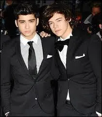 Comment surnomme-t-on Harry et Zayn quand ils sont  assembls  ?